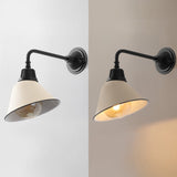 Croydon 9.63" Farmhouse Industrial Indoor/Outdoor Iron LED Gooseneck Arm Outdoor Sconce