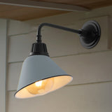 Croydon 9.63" Farmhouse Industrial Indoor/Outdoor Iron LED Gooseneck Arm Outdoor Sconce
