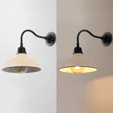 Aurora 12.25" Farmhouse Industrial Indoor/Outdoor Iron LED Gooseneck Arm Outdoor Sconce