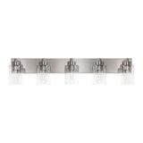 Irving Seeded Glass/Iron Modern Contemporary LED Vanity Light