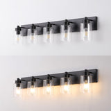 Irving Seeded Glass/Iron Modern Contemporary LED Vanity Light