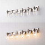 Irving Seeded Glass/Iron Modern Contemporary LED Vanity Light