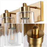 Irving Seeded Glass/Iron Modern Contemporary LED Vanity Light