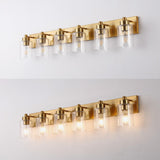 Irving Seeded Glass/Iron Modern Contemporary LED Vanity Light