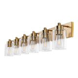 Irving Seeded Glass/Iron Modern Contemporary LED Vanity Light