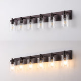 Irving Seeded Glass/Iron Modern Contemporary LED Vanity Light