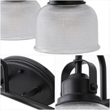 Virginia Metal/Glass LED Vanity Light
