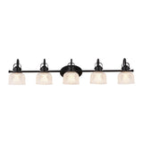 Virginia Metal/Glass LED Vanity Light