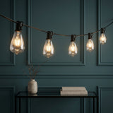 10-Light Indoor/Outdoor 10 ft. Rustic Industrial ST38 Clear Bulb String Lights Black – AI-ON
