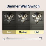 Stella 12" Moravian Star Metal/Clear Glass LED Flush Mount