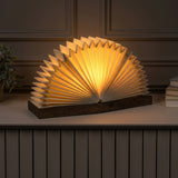 Light on image JYL9109B