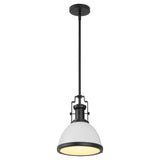 Homer Modern Industrial Iron LED Dome Pendant