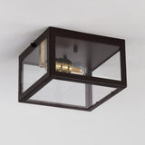 Eleanor 8" Farmhouse Industrial Square Iron/Glass Case LED Flush Mount