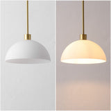 Solene Modern Contemporary Adjustable Metal/Glass Dome LED Pendant