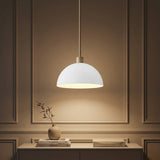 Solene Modern Contemporary Adjustable Metal/Glass Dome LED Pendant Almond/White – AI-ON