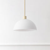 Solene Modern Contemporary Adjustable Metal/Glass Dome LED Pendant