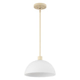 Solene Modern Contemporary Adjustable Metal/Glass Dome LED Pendant
