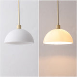 Solene Modern Contemporary Adjustable Metal/Glass Dome LED Pendant