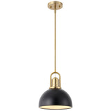 Zane 9.5 in. 1-Light Modern Farmhouse Industrial Metal Dome LED Pendant