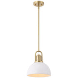 Zane 9.5 in. 1-Light Modern Farmhouse Industrial Metal Dome LED Pendant