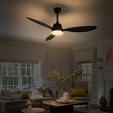 Light on image JYL9714A