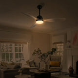 Light on image JYL9714B