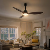 Light on image JYL9714C
