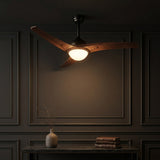 Light on image JYL9717D