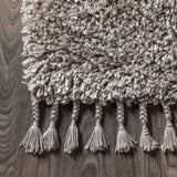 Mercer Shag Plush Tassel Area Rug