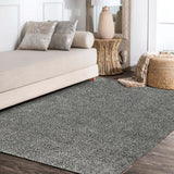 Mercer Shag Plush Area Rug