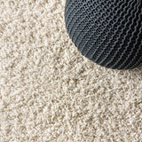 Mercer Shag Plush Area Rug
