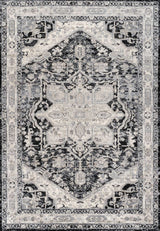 Jerica modern Persian Vintage Medallion Area Rug