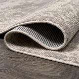 Kelly rosalia Cottage Medallion Area Rug