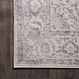 Kelly rosalia Cottage Medallion Area Rug