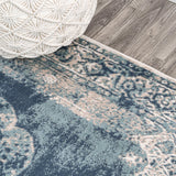 Kelly rosalia Cottage Medallion Area Rug