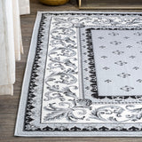 Acanthus French Border Area Rug