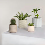 Silas Modern Minimalist Handmade Concrete Fluted Sculptural Cylinder Planter Set with Drainage Holes