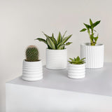 Silas Modern Minimalist Handmade Concrete Fluted Sculptural Cylinder Planter Set with Drainage Holes