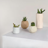 Linden Modern Minimalist Handmade Concrete Organic Sculptural Cylinder and Round Planter Set with Drainage Holes