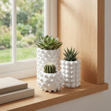 Maren Modern Minimalist Handmade Concrete Bubble Cylinder and Round Planter Set