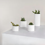 Noa Modern Minimalist Handmade Concrete Fluted Cylinder Planter Set