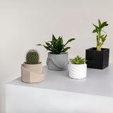 Romy Modern Minimalist Handmade Concrete Geometric Planter Set with Drainage Holes