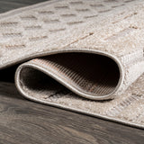 Xlendi High-low Pile Moroccan Geometric Indoor/outdoor Area Rug