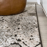 Duenas High-low Shabby Damask Area Rug