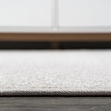 Haze Solid Low-pile Area Rug Ivory