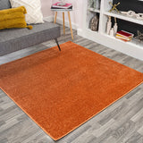Haze Solid Low-pile Area Rug Orange