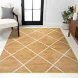 Cole Minimalist Diamond Trellis Area Rug