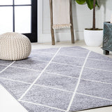 Cole Minimalist Diamond Trellis Area Rug