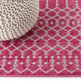 Ourika Moroccan Geometric Textured Weave Indoor/outdoor Runner Rug Fuchsia/Light Gray / Runner / 2'2" X 8' – DETAIL