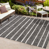 Colonia Berber Stripe Indoor/outdoor Area Rug